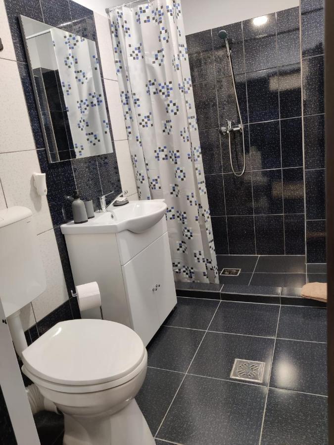 Casa Marina Pension Călimăneşti Buitenkant foto